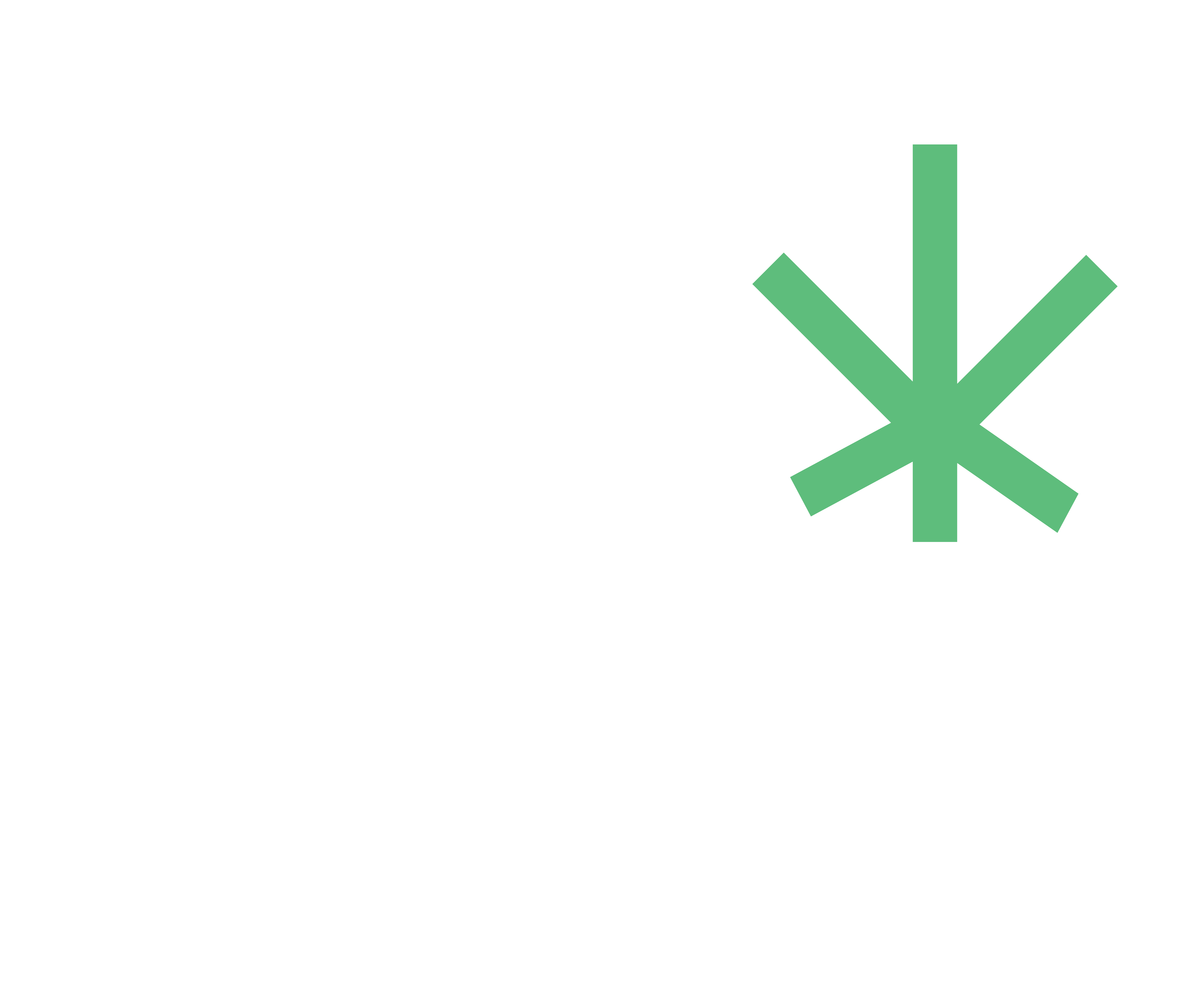 Zolberg Logo